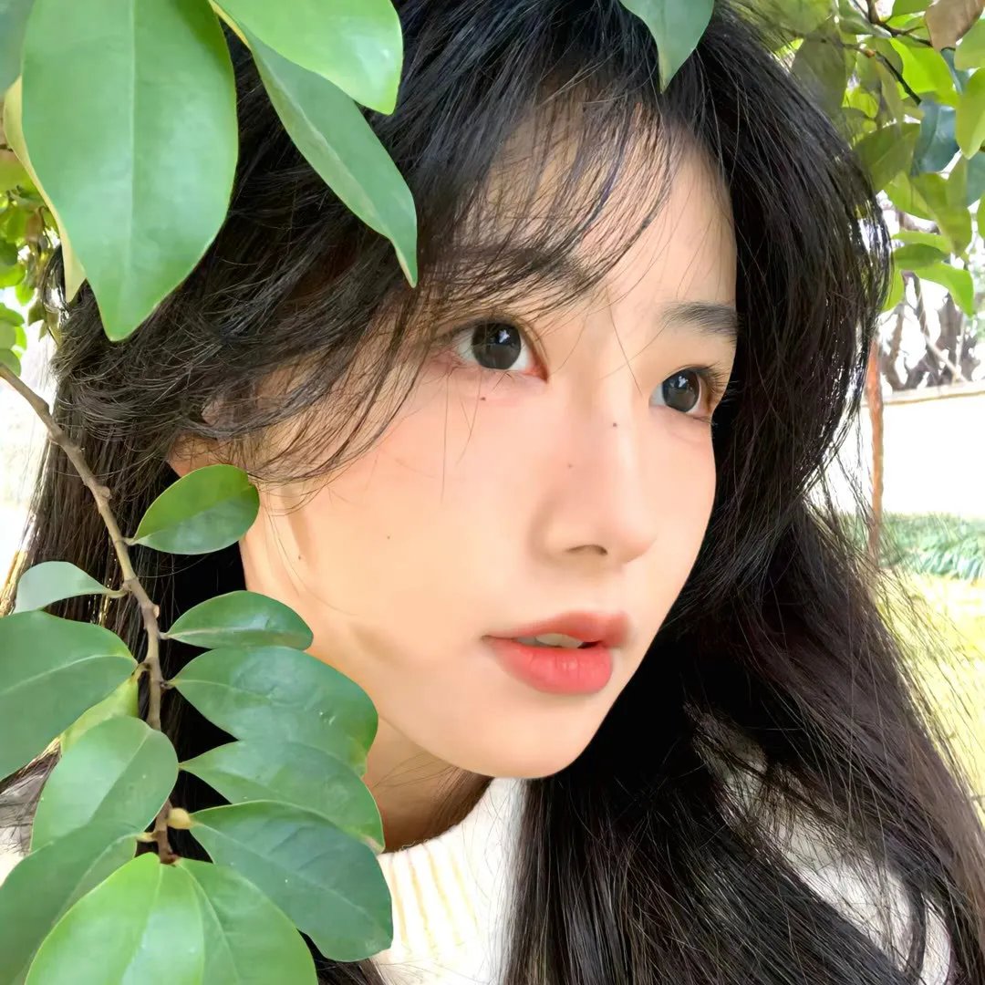 索尼娅与公牛