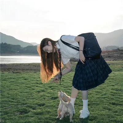 百合花开